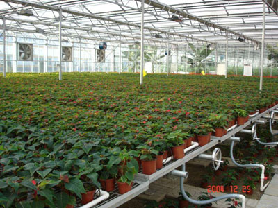 溫室具備哪些育苗設(shè)備，可加快蔬菜產(chǎn)業(yè)現(xiàn)代化進(jìn)程？