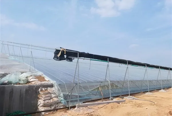 溫室大棚如何覆膜？